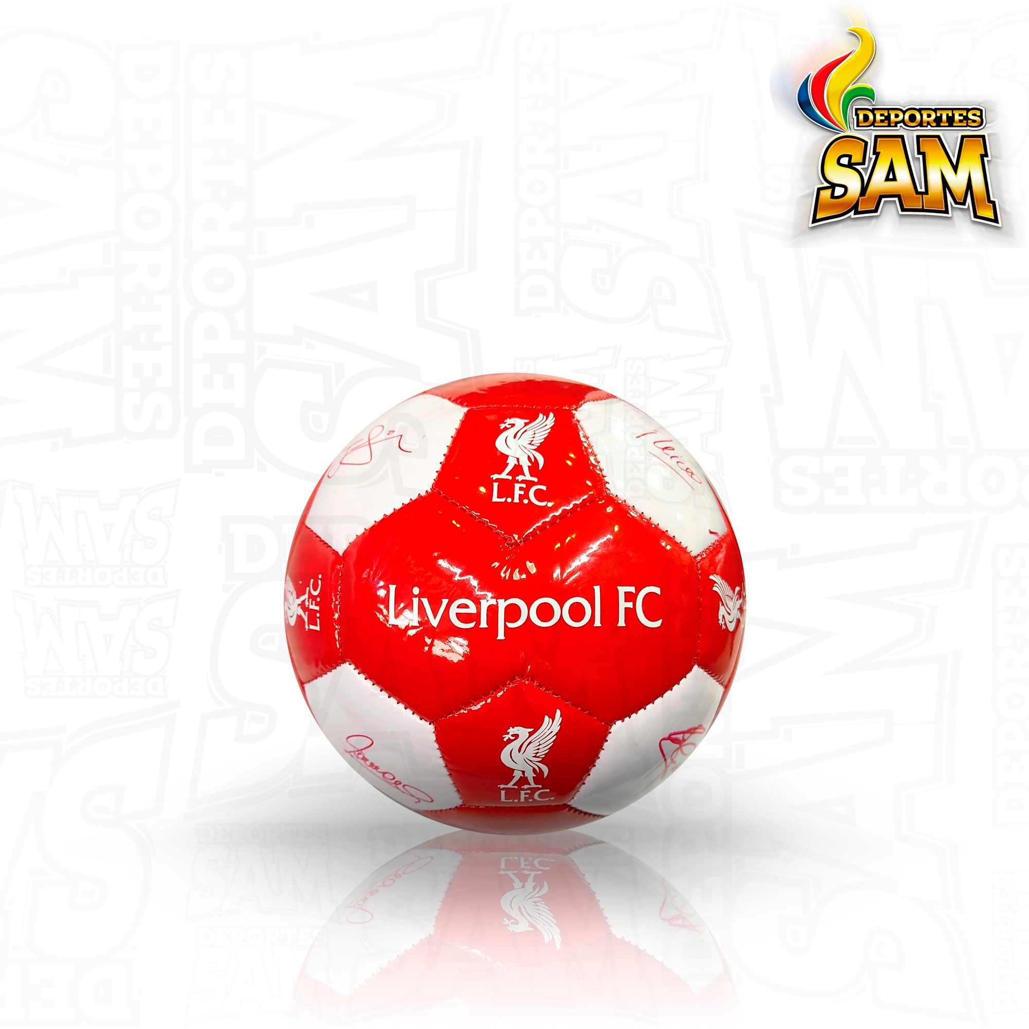 BALON MINIFUTBOL EQUIPOS